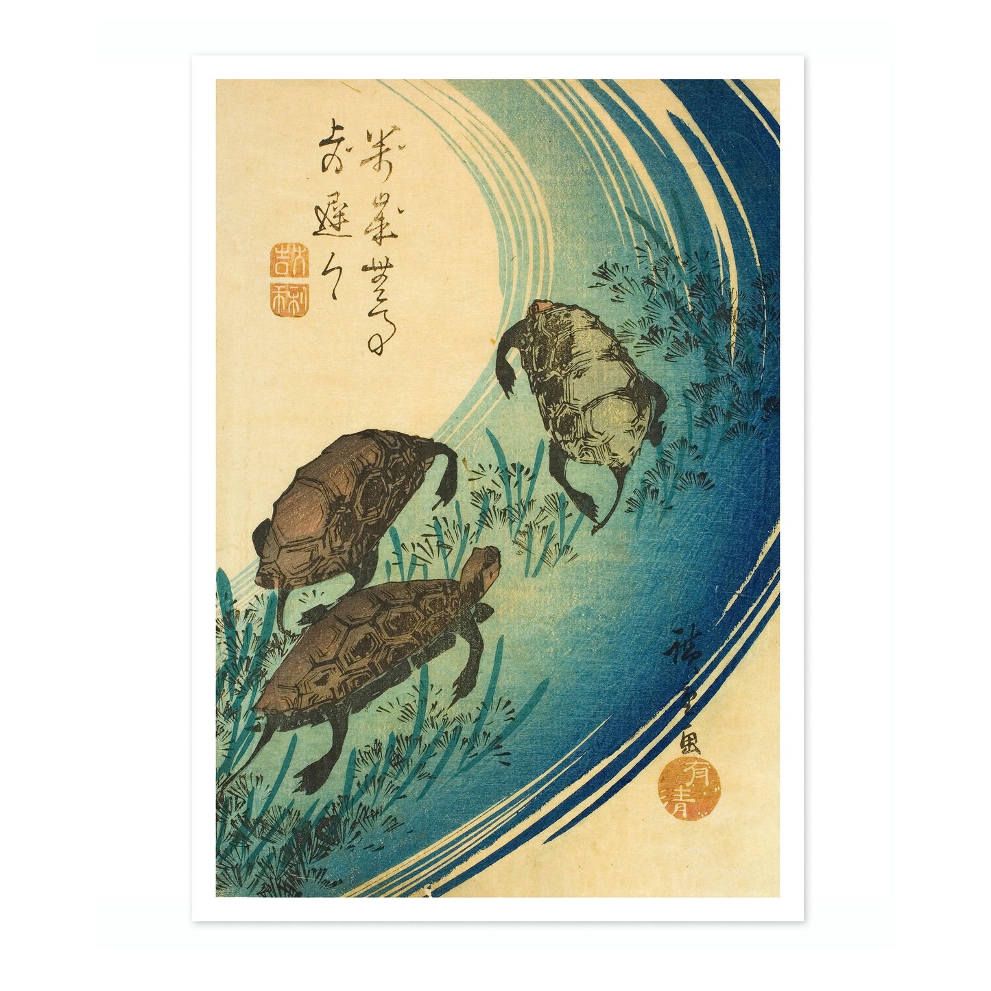 Turtles Swimming in a Stream