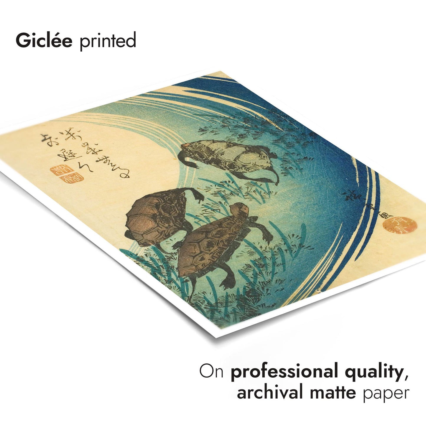 Turtles Swimming in a Stream