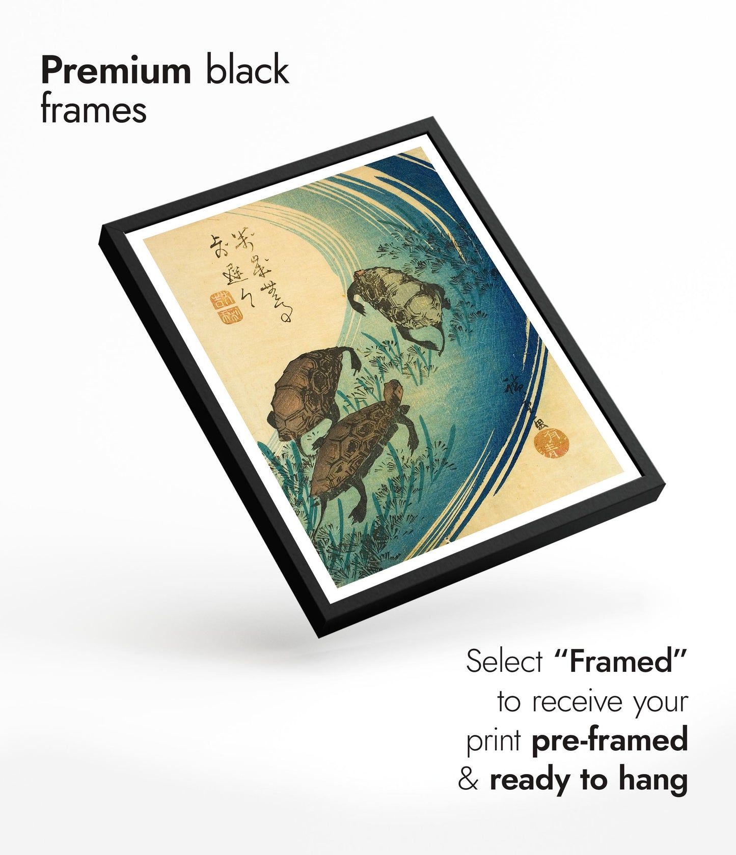 Turtles Swimming in a Stream