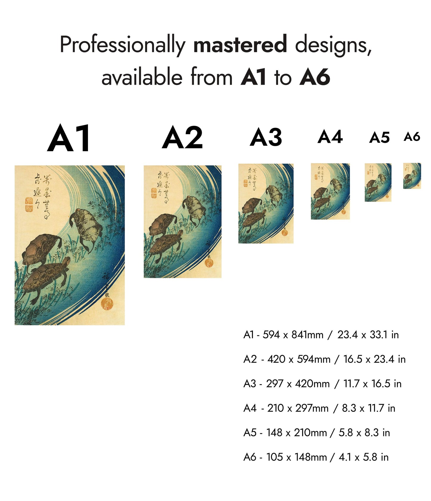 Turtles Swimming in a Stream