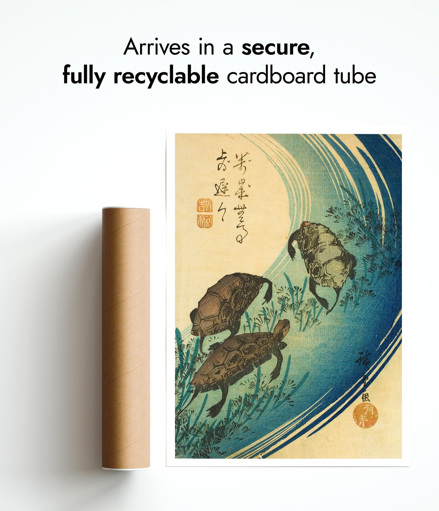 Turtles Swimming in a Stream