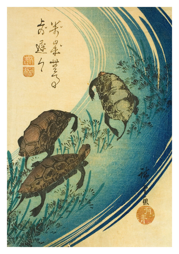 Turtles Swimming in a Stream