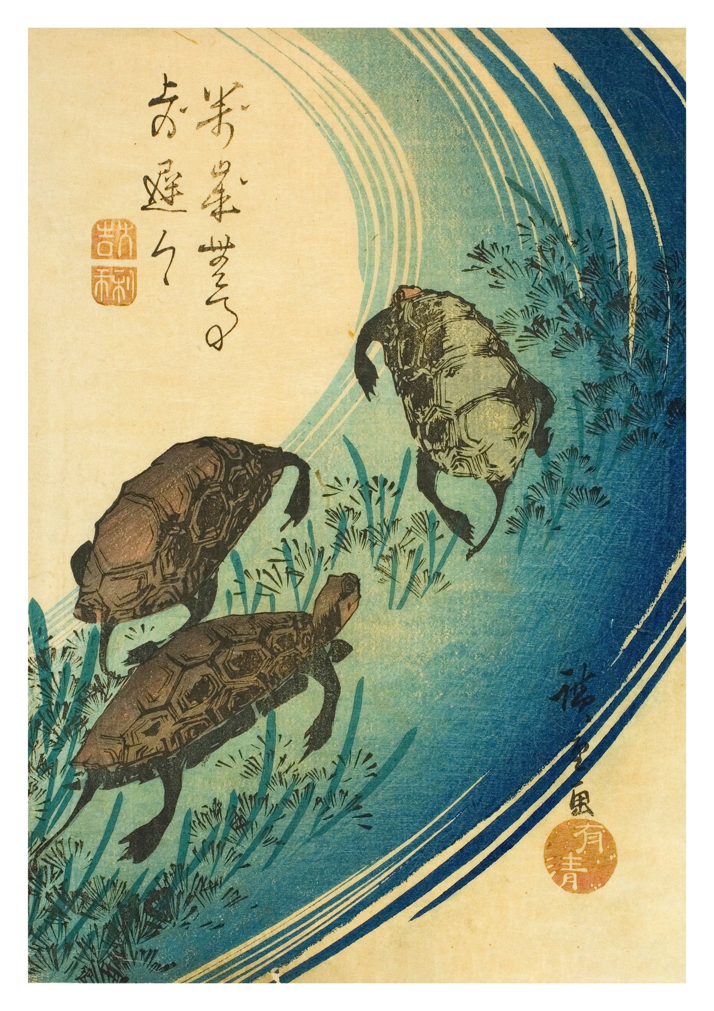 Turtles Swimming in a Stream