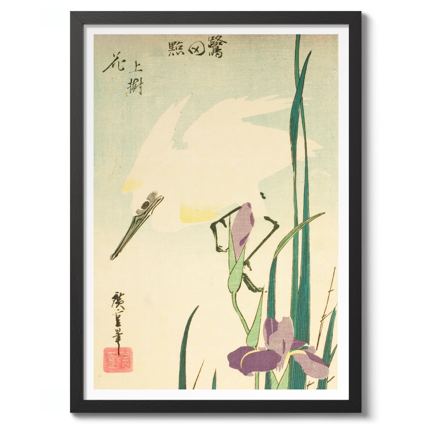  Héron blanc et iris