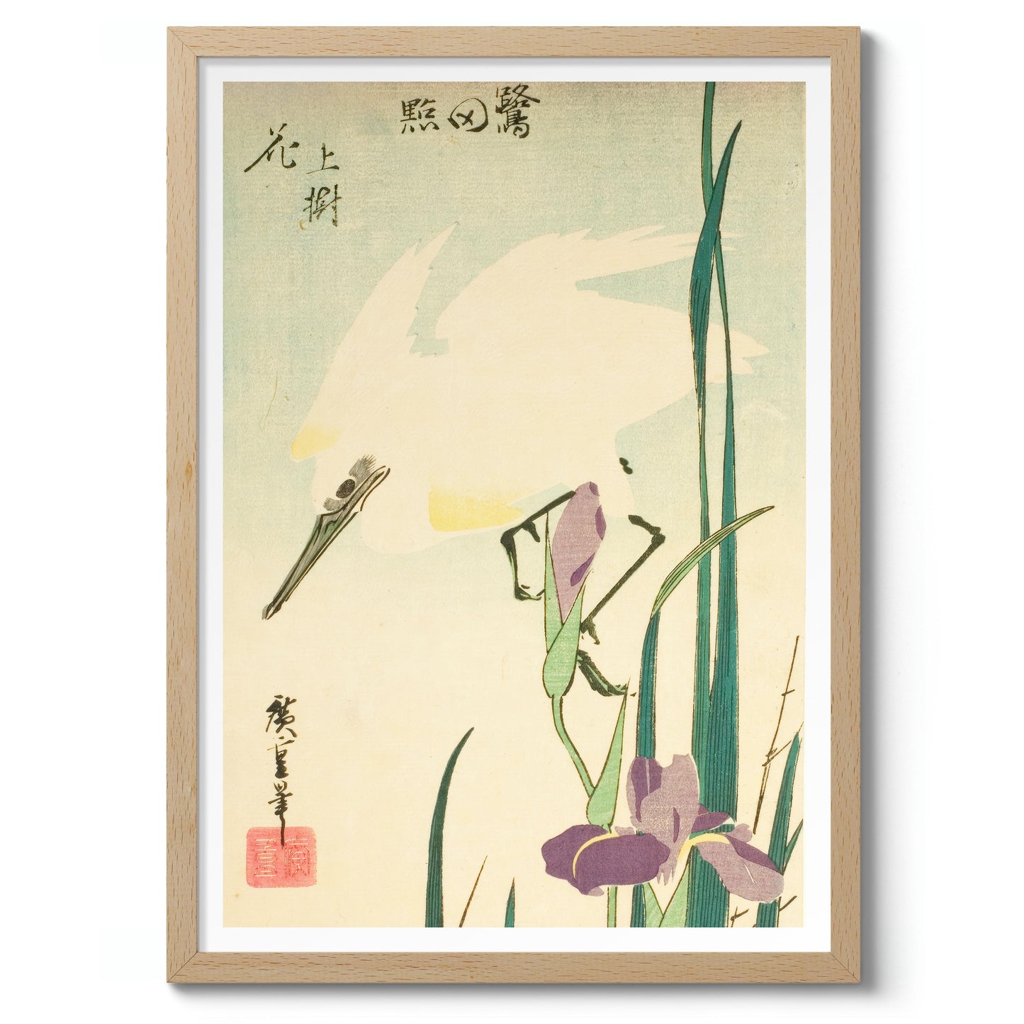  Héron blanc et iris