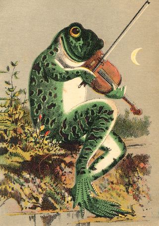 Kikker die viool speelt print