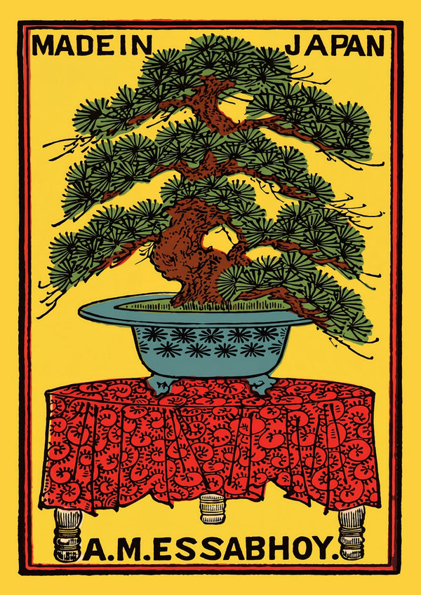 Essabhoy Bonsai