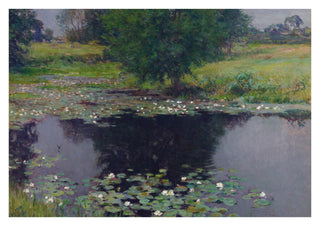Pond Lilies print