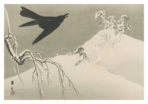 Crows in Snow