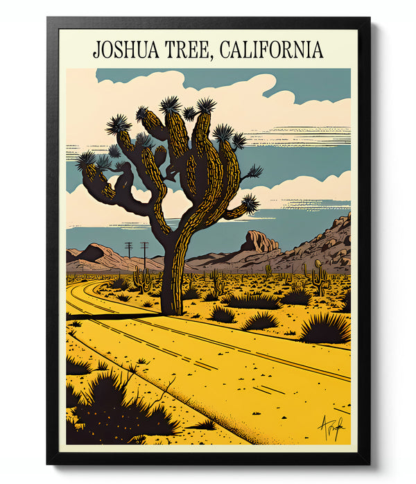 Joshua Tree, California - United States
