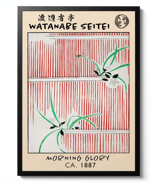 Morning Glory - Watanabe Seitei