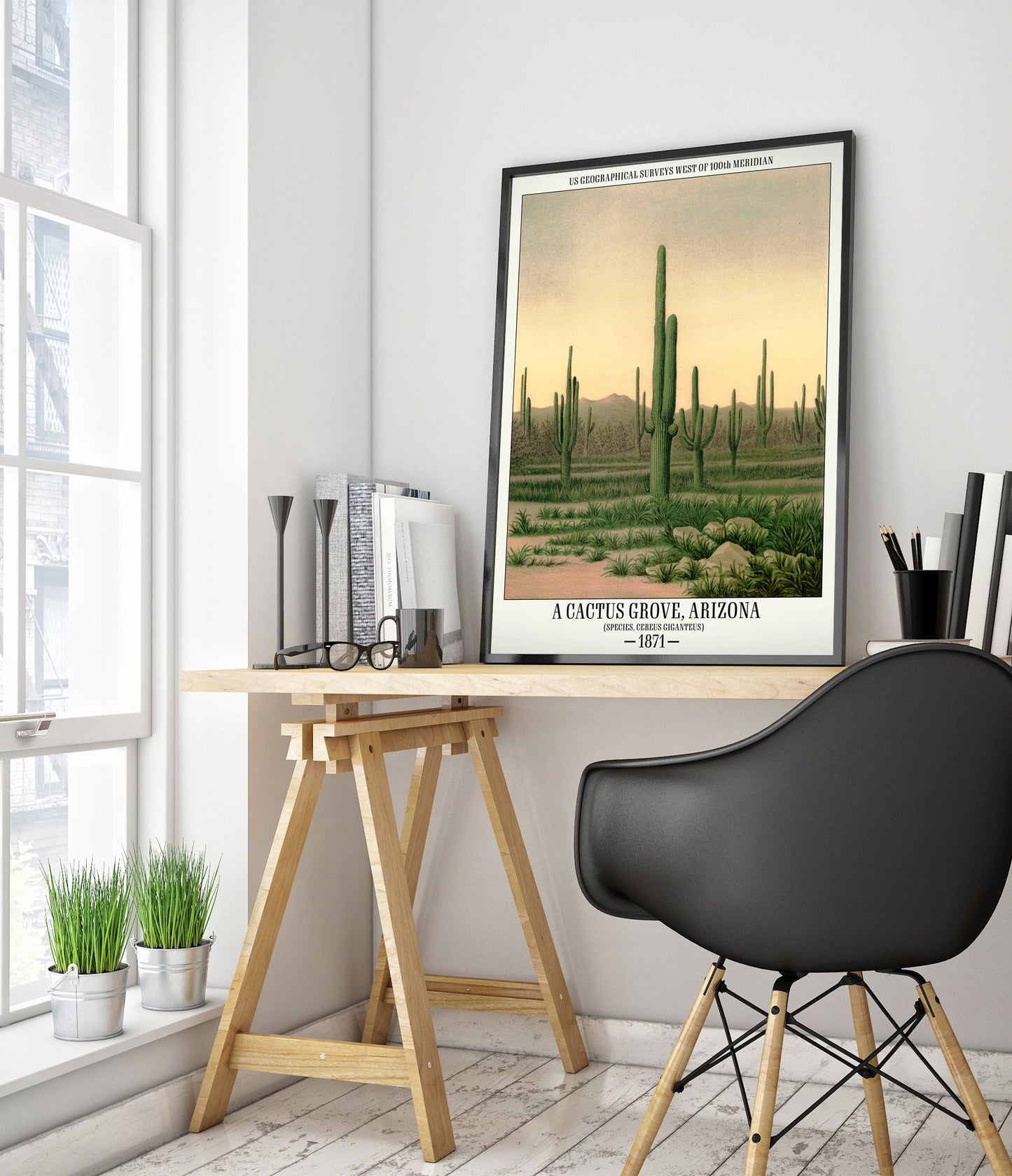 Un bosquet de cactus, Arizona