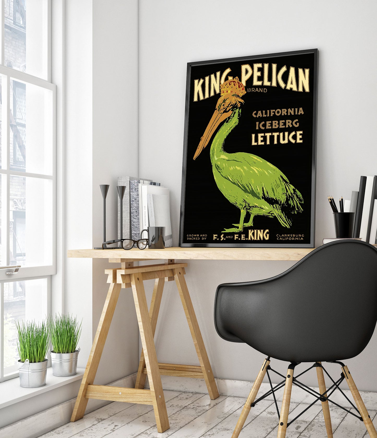 Laitue King Pélican