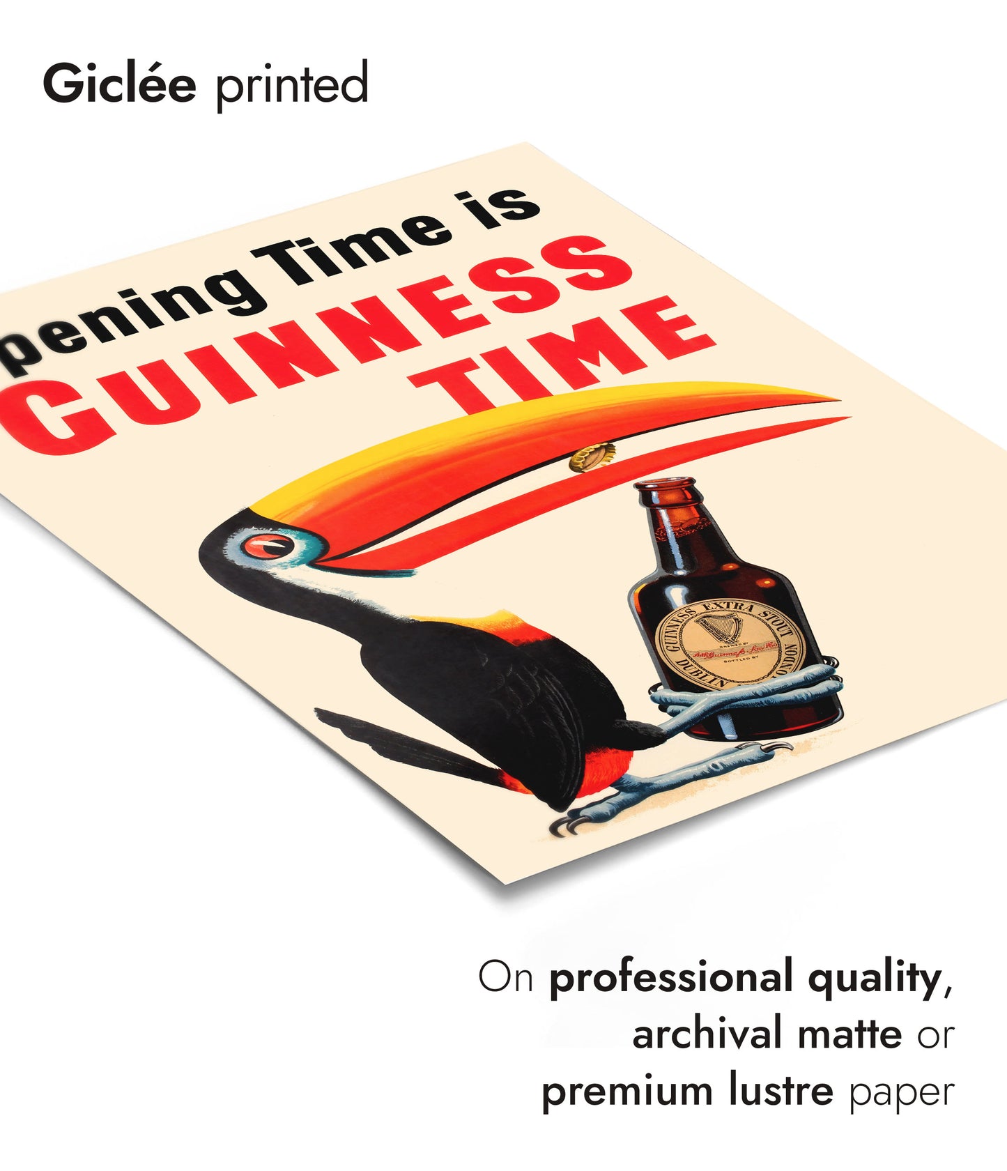 Guinness Toucan