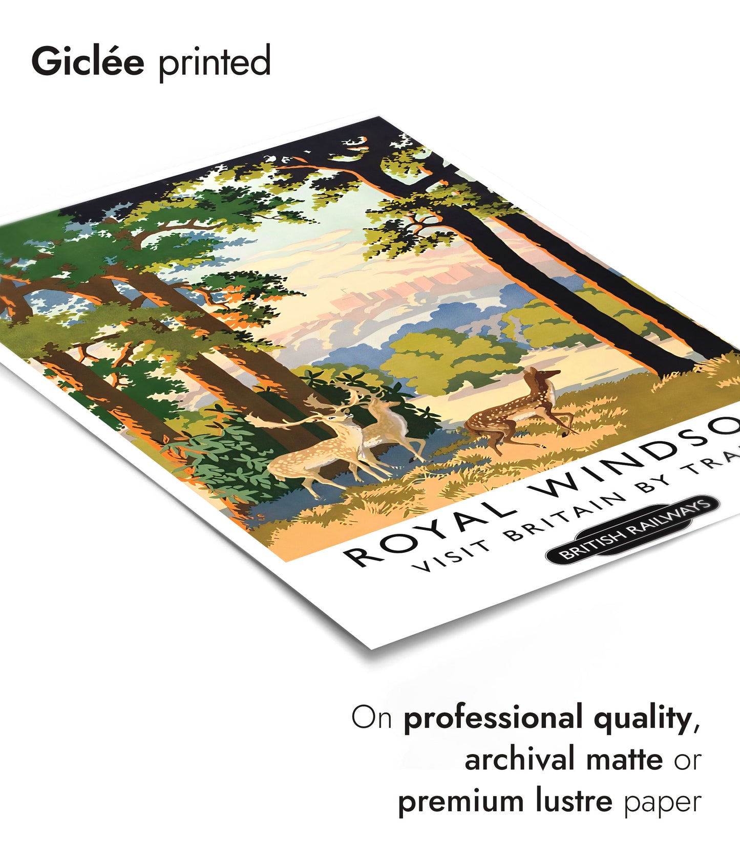 Royal Windsor Castle