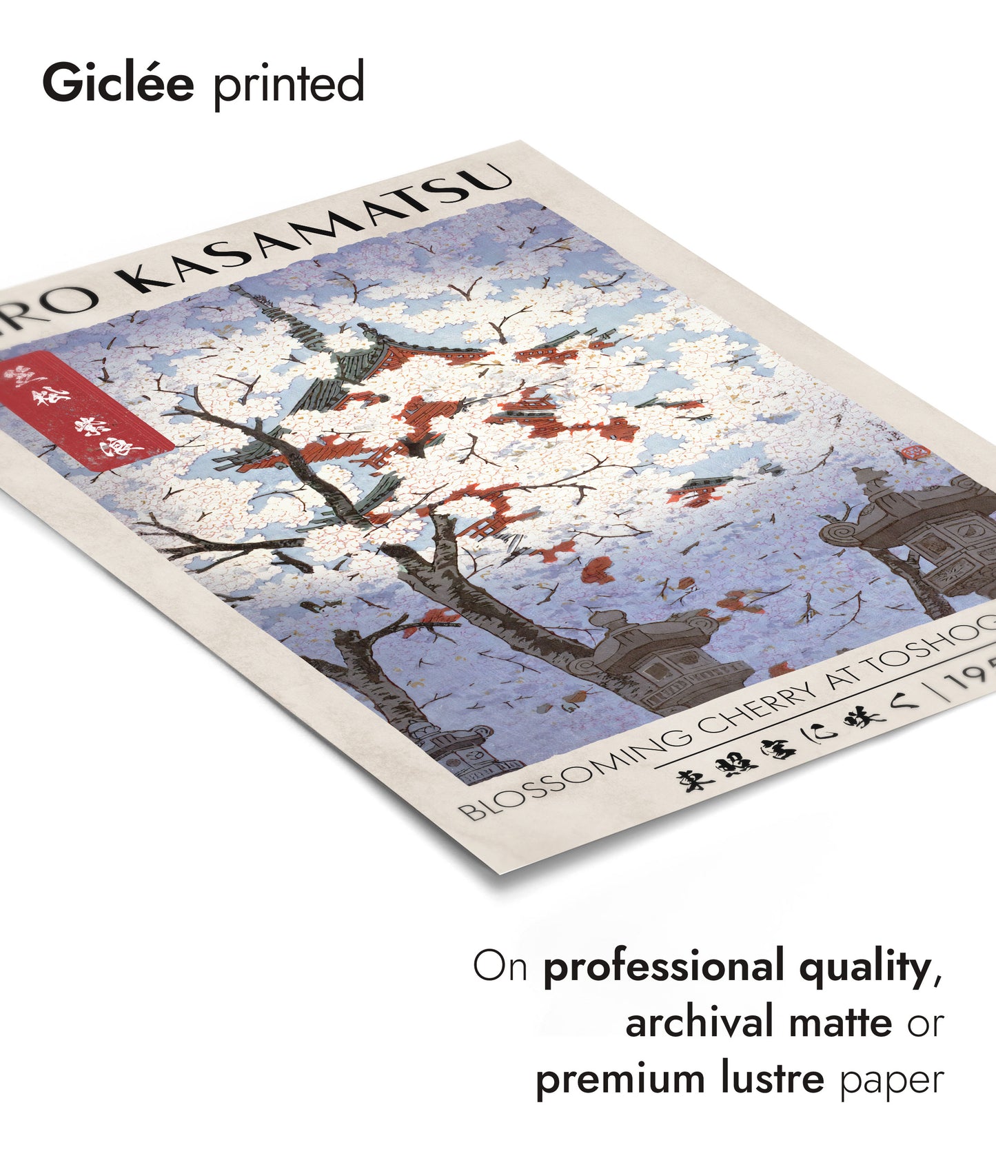 Cherry Blossom at Toshogu