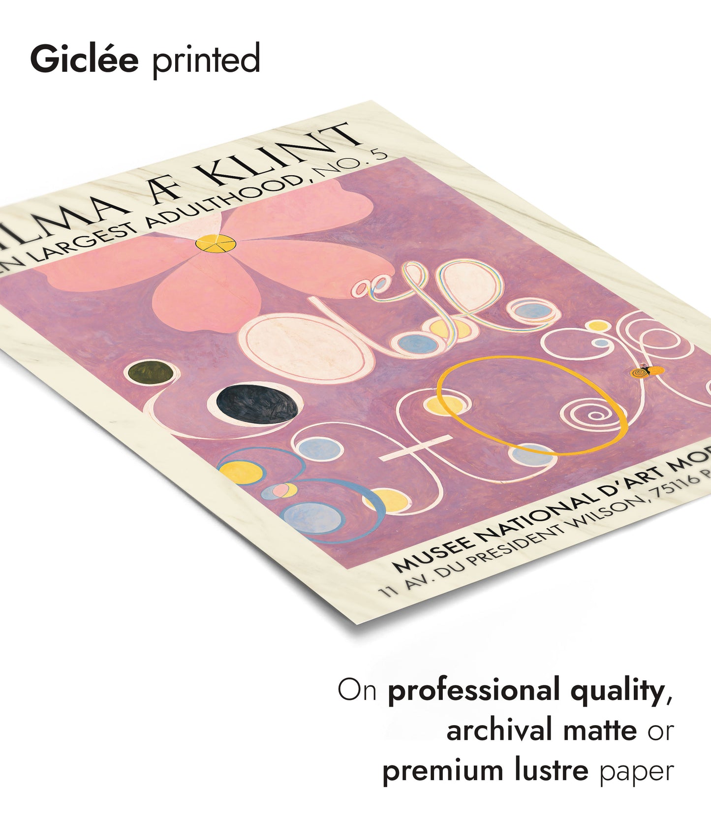 Ten Largest Adulthood, No. 5