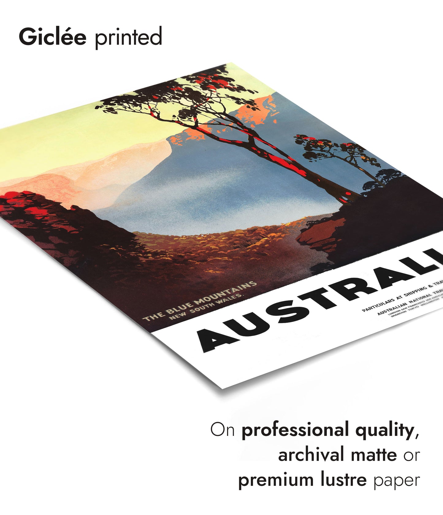 Blåbergen, Australien