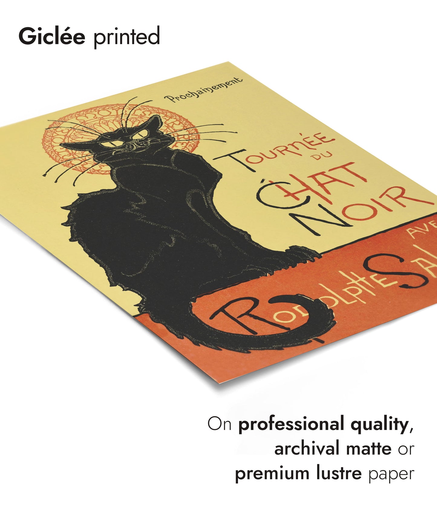 Turné med Svarta katten