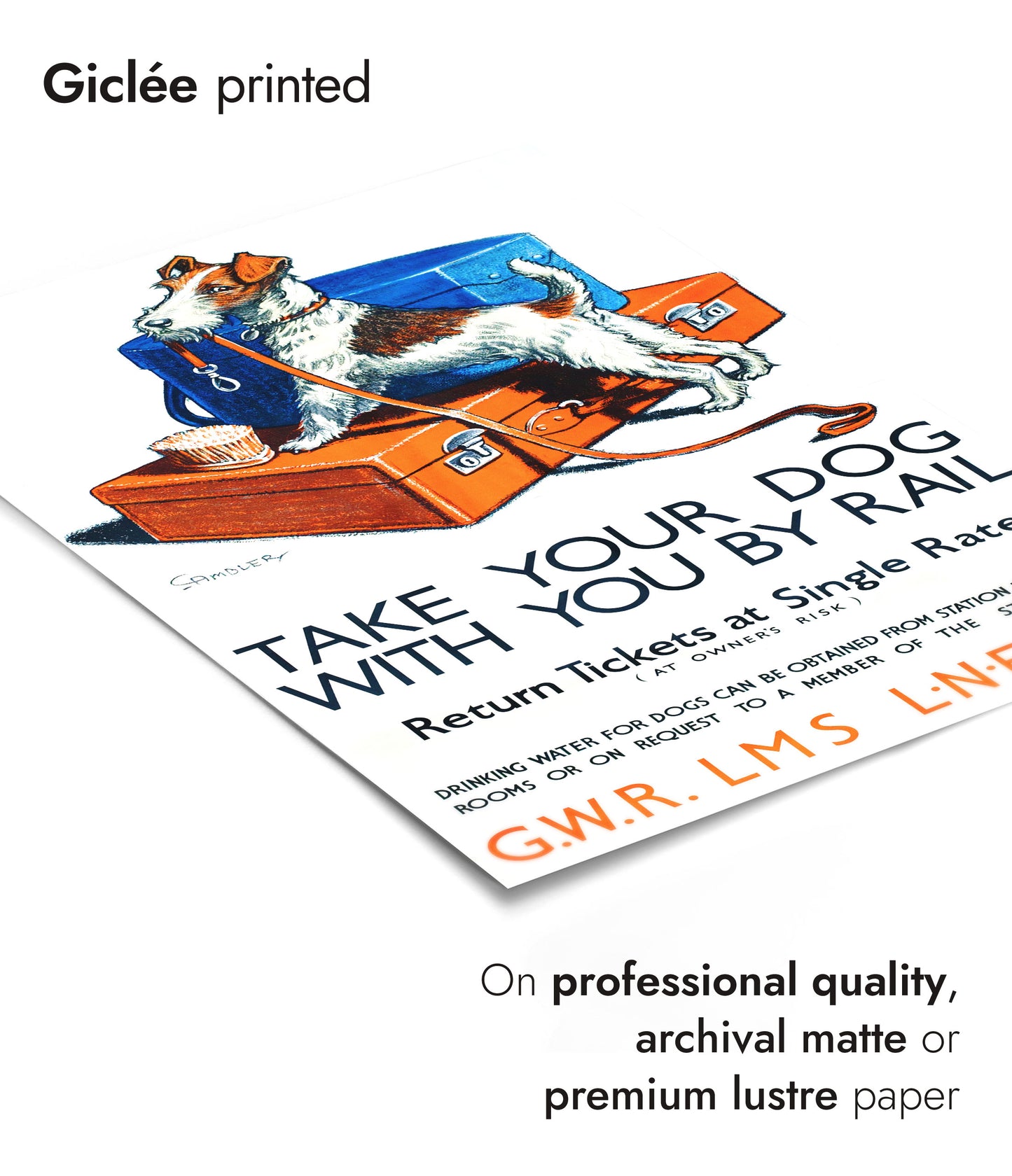 Take Your Dog With You