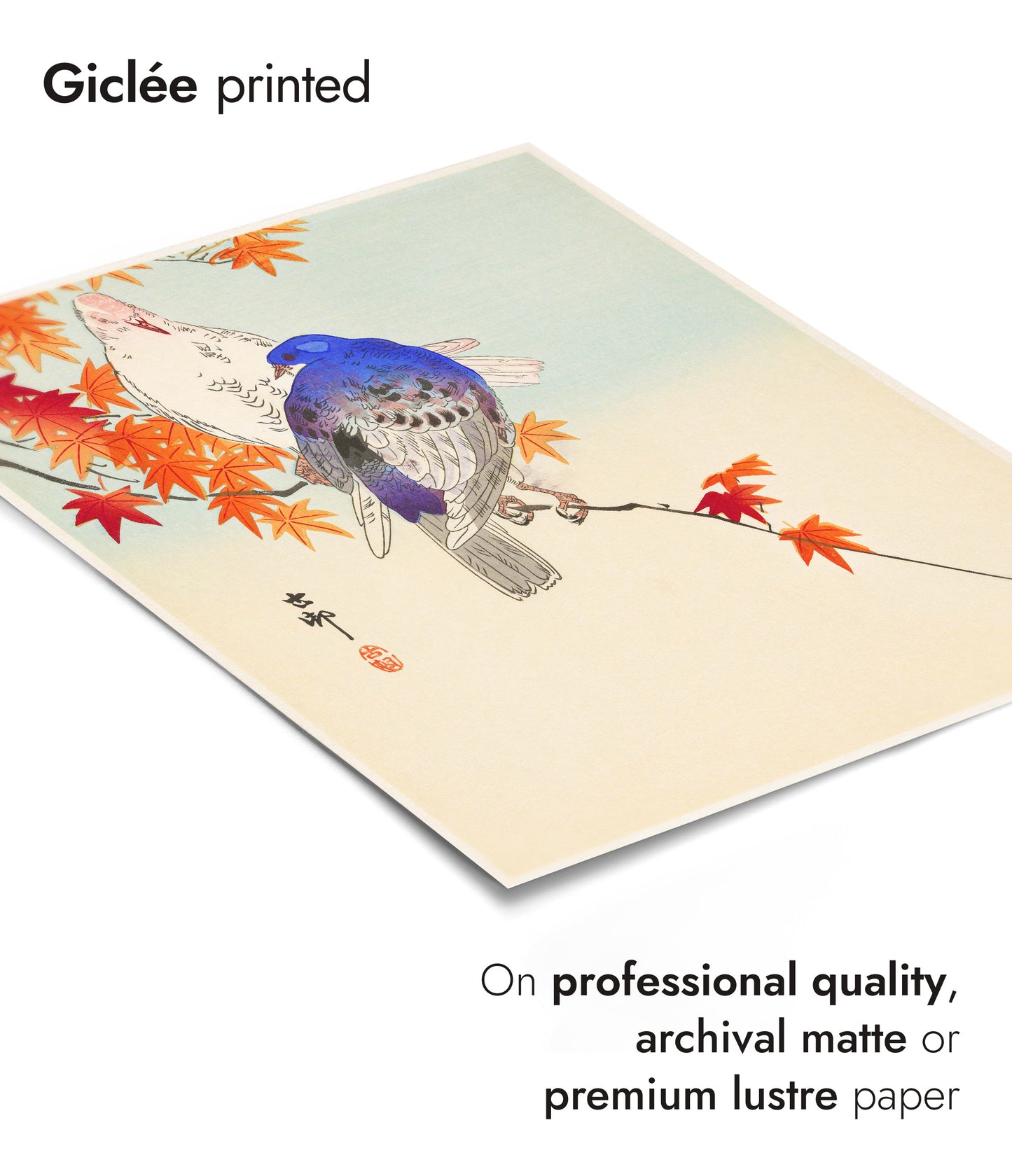 Zwei Tauben auf einem Herbstzweig