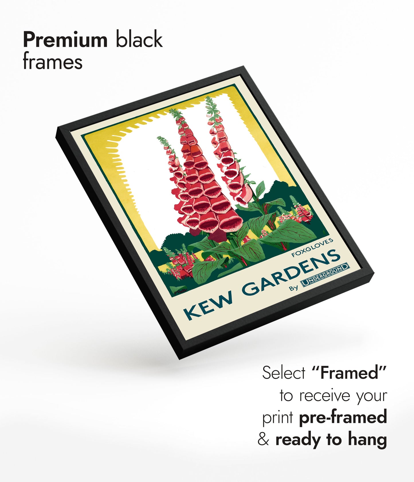 Kew Gardens, Foxgloves