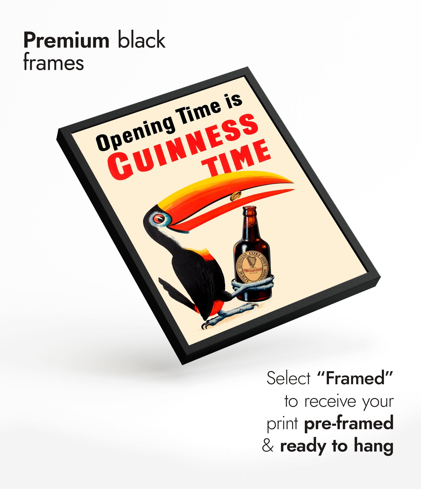 Guinness Toucan