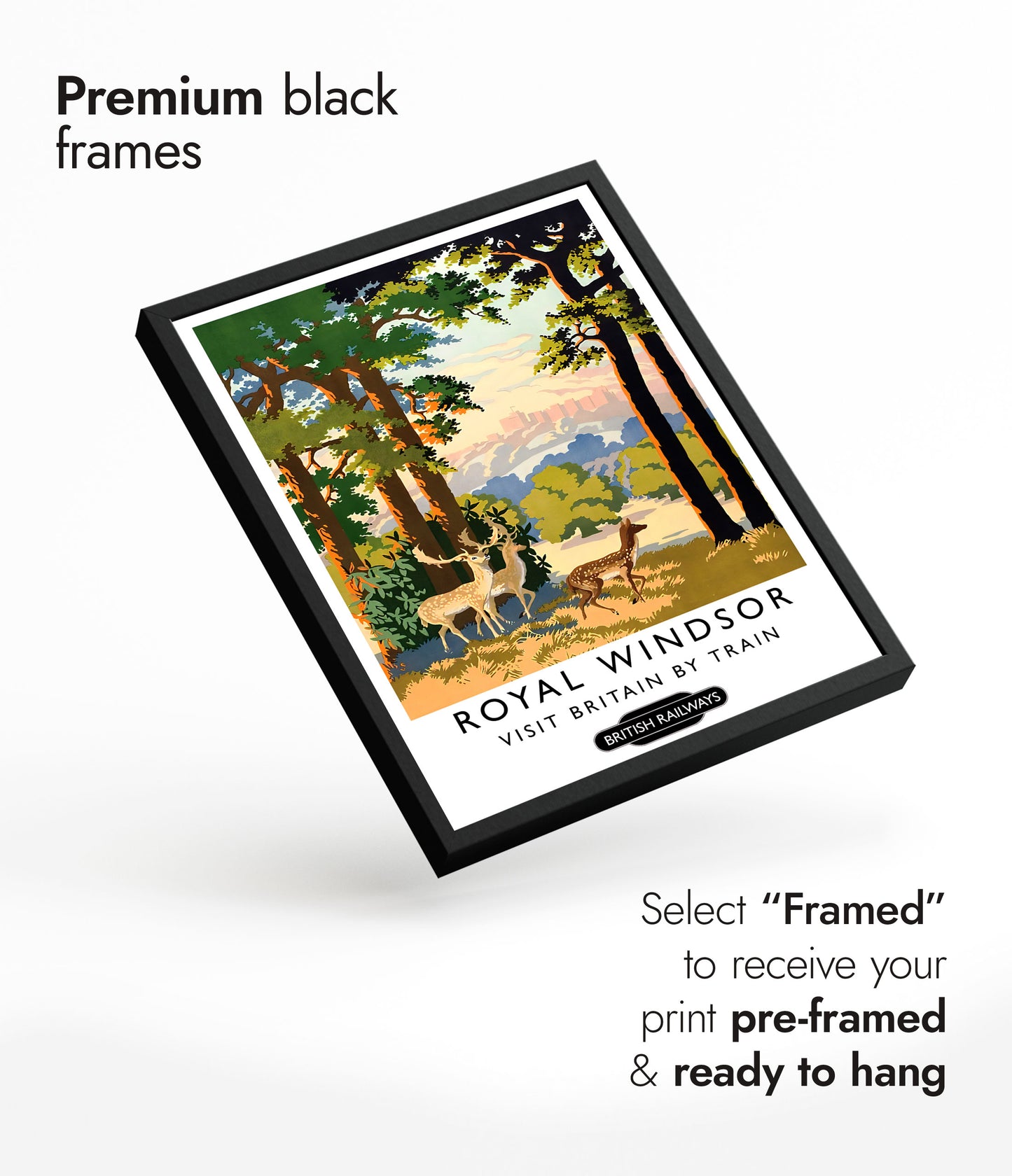 Royal Windsor Castle