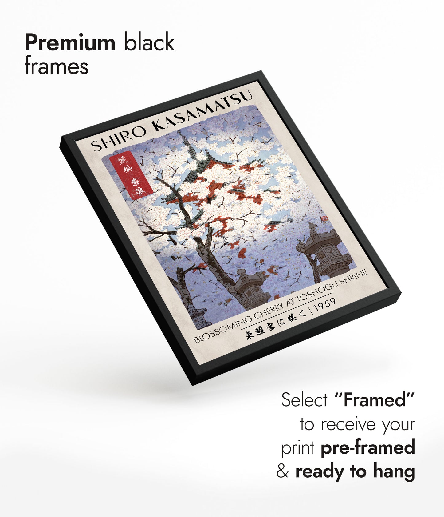 Cherry Blossom at Toshogu