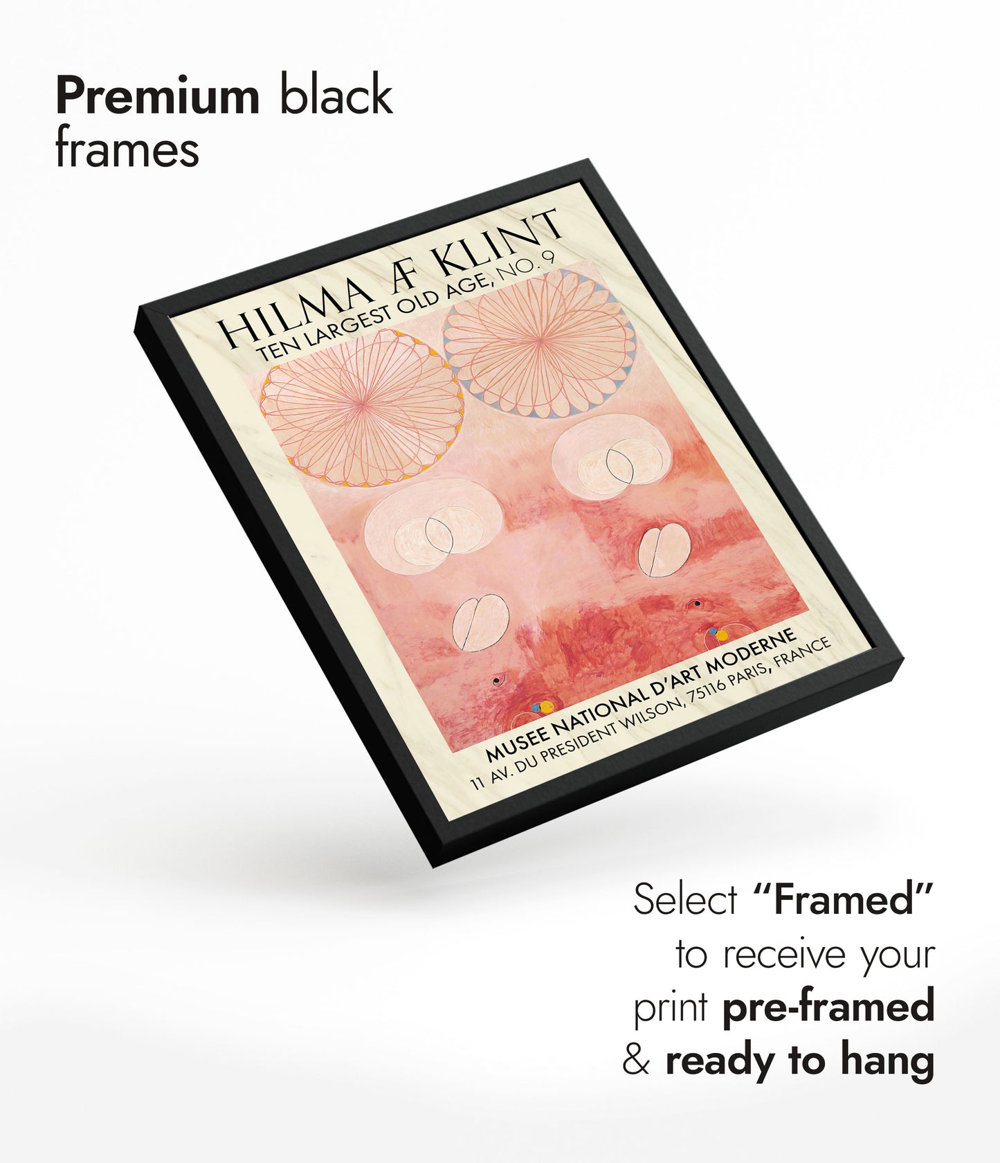 Ten Largest Old Age, No. 9