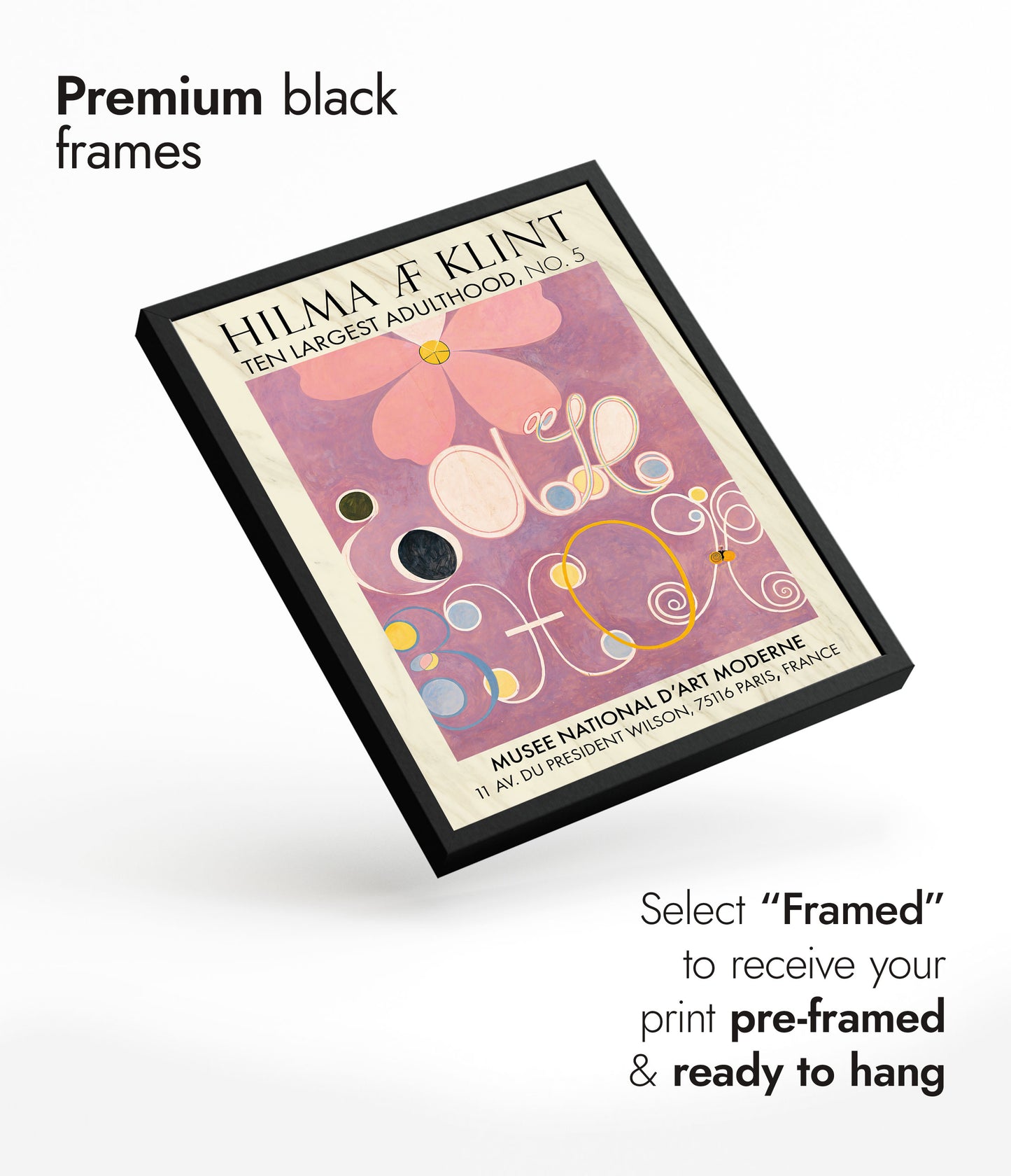 Ten Largest Adulthood, No. 5