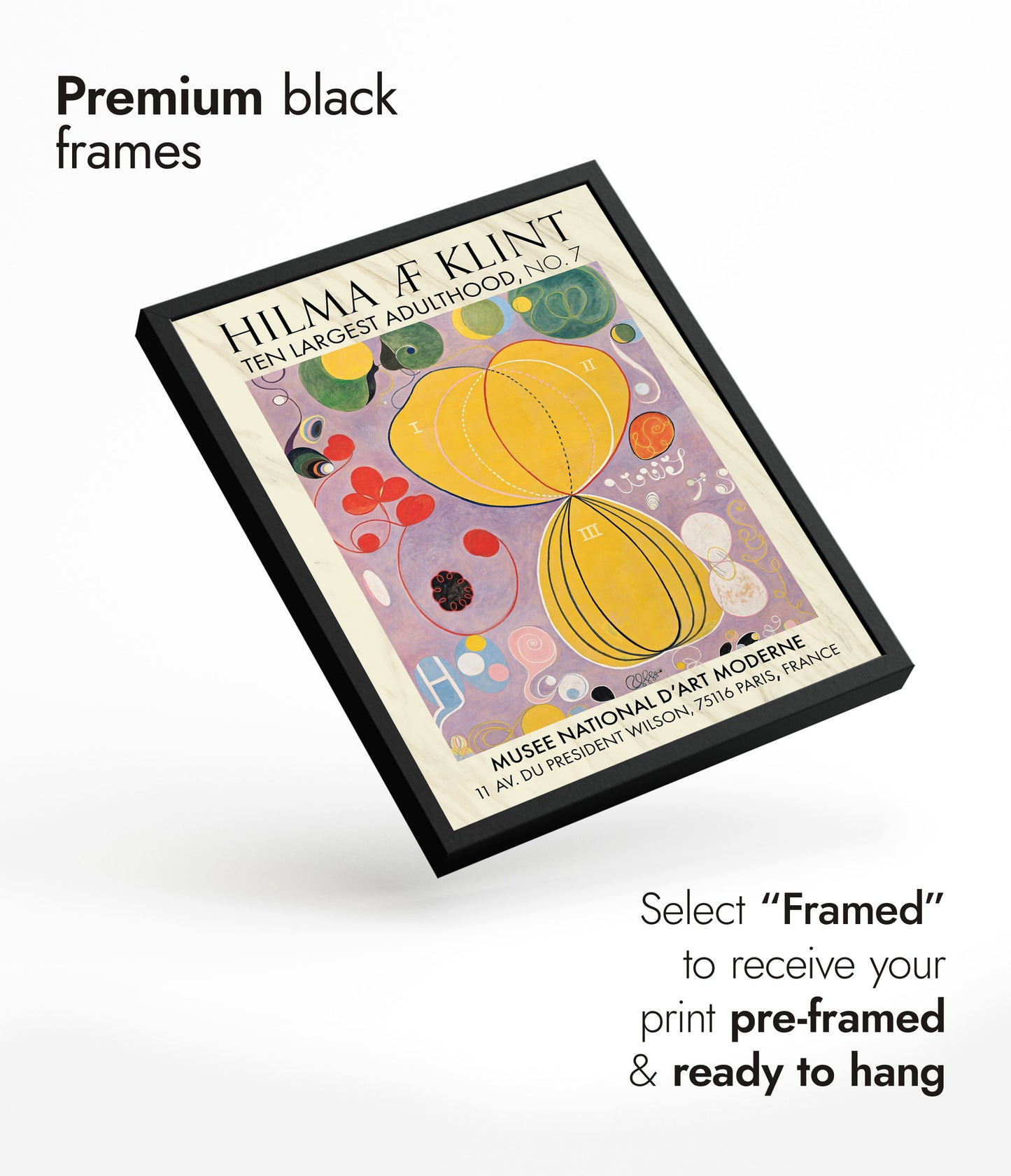 Les dix plus grandes périodes de l'âge adulte, n° 7