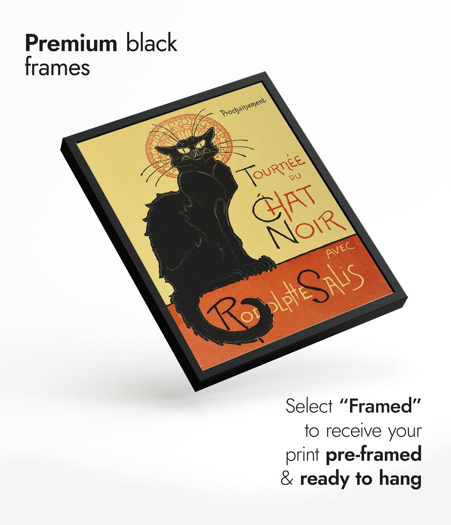 Turné med Svarta katten