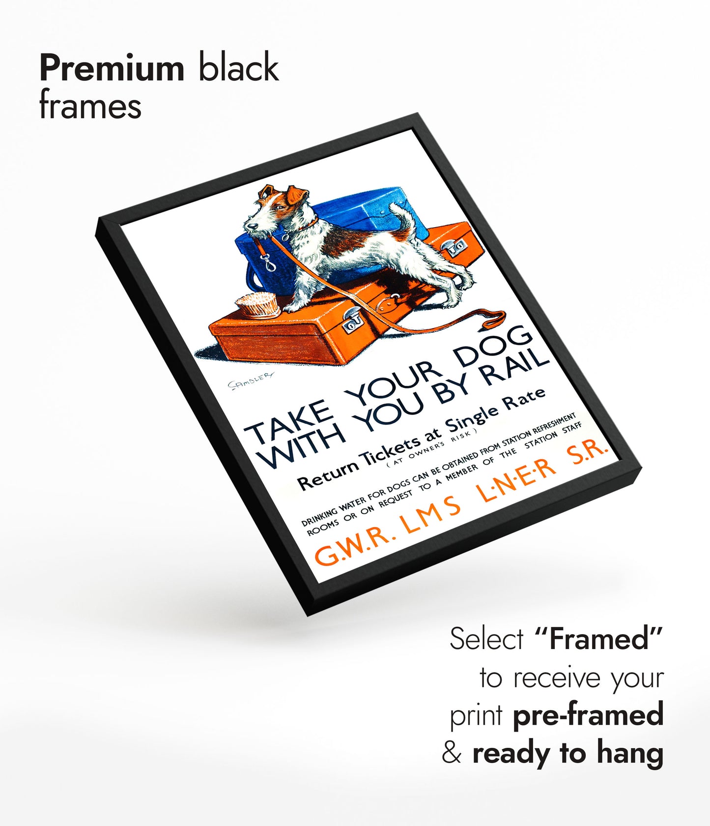 Take Your Dog With You