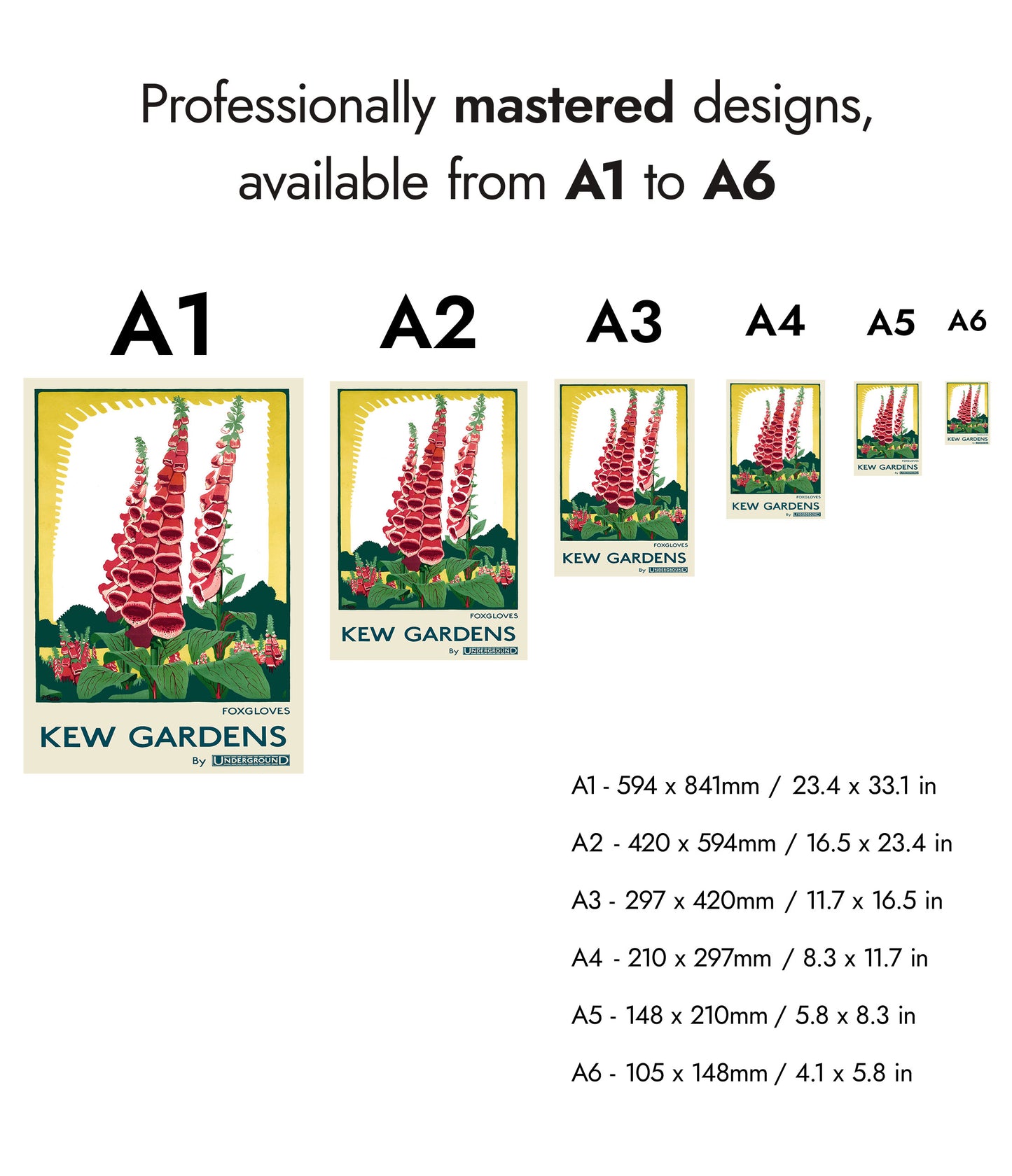 Kew Gardens, Foxgloves