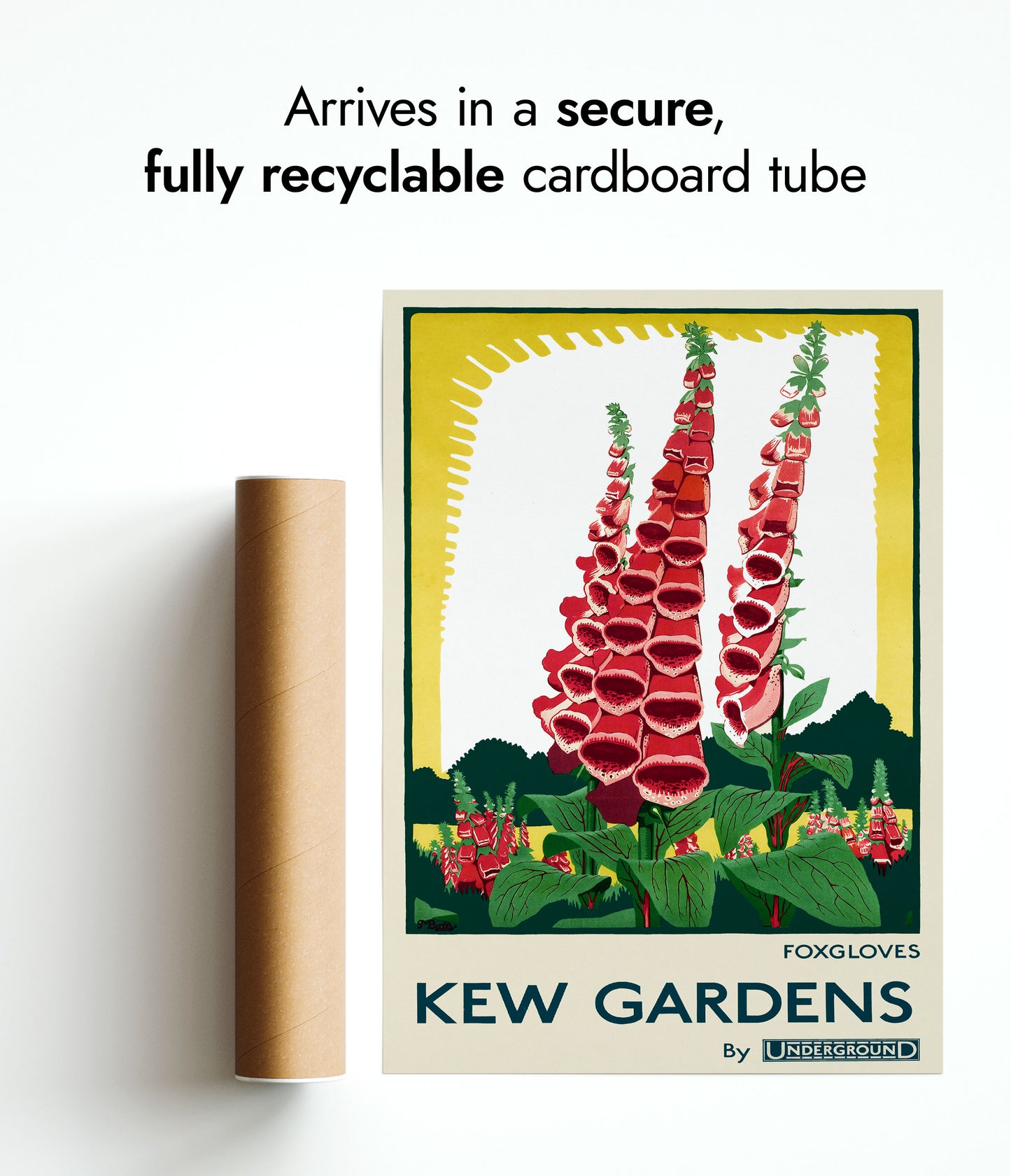 Kew Gardens, Foxgloves