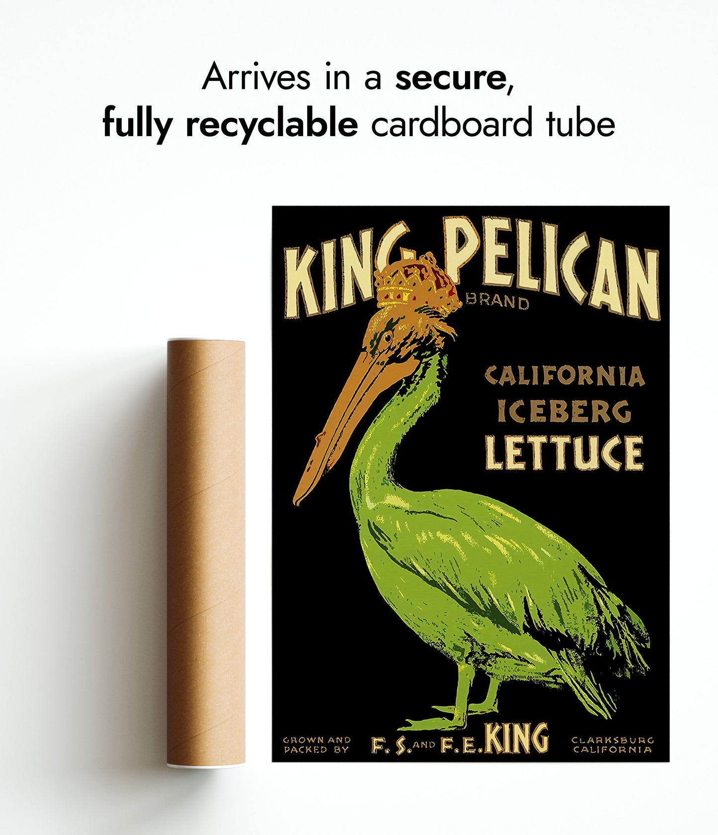 Laitue King Pélican