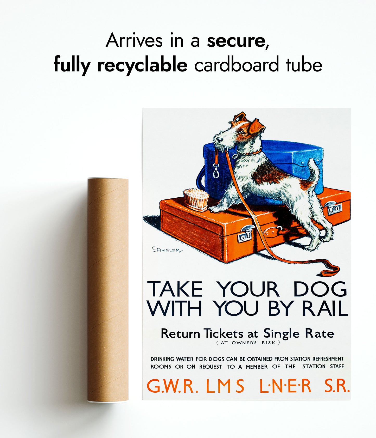 Take Your Dog With You